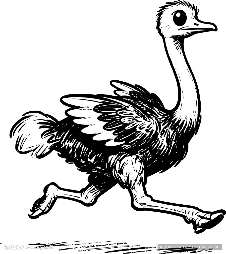 奔跑的鸵鸟