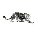 水墨猎豹图