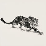 水墨猎豹图