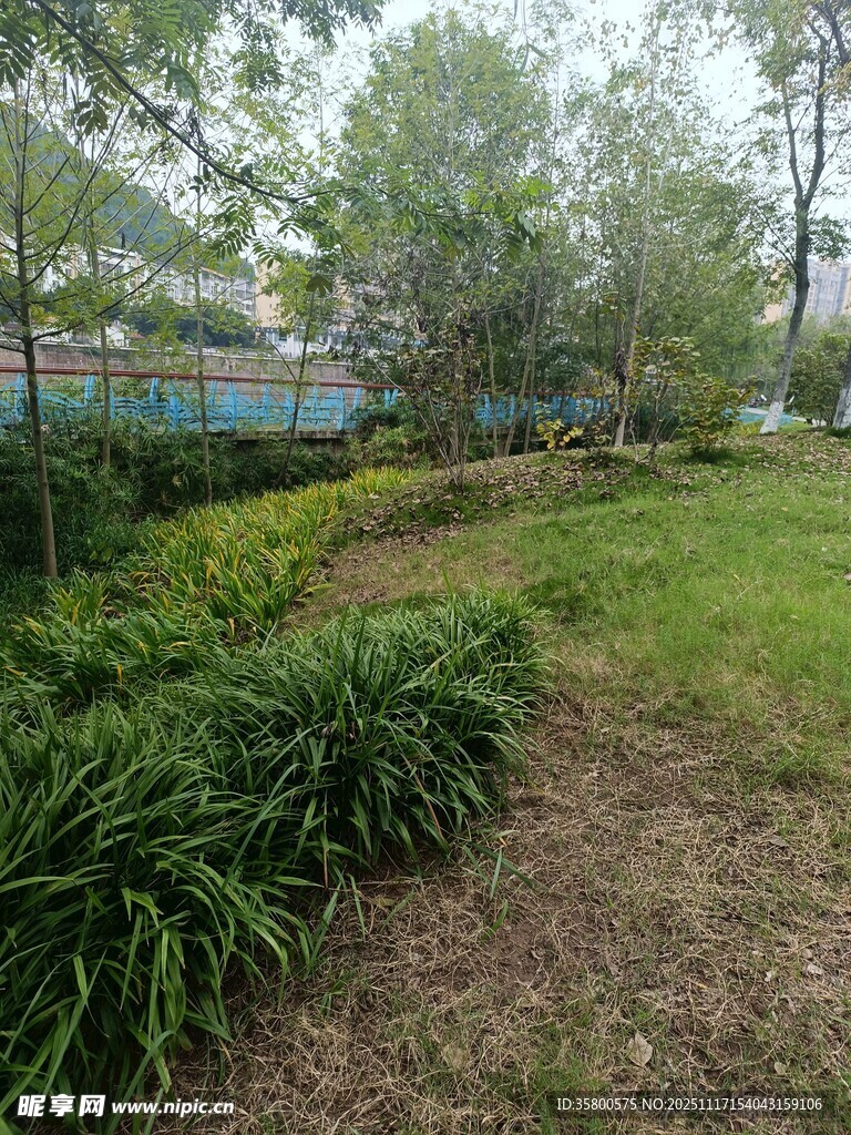 绿意盎然的户外园林景观