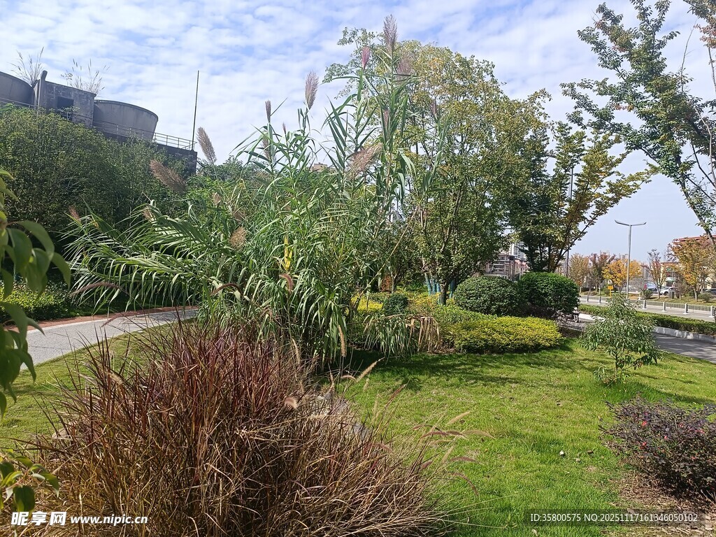 户外绿意盎然的花园景致