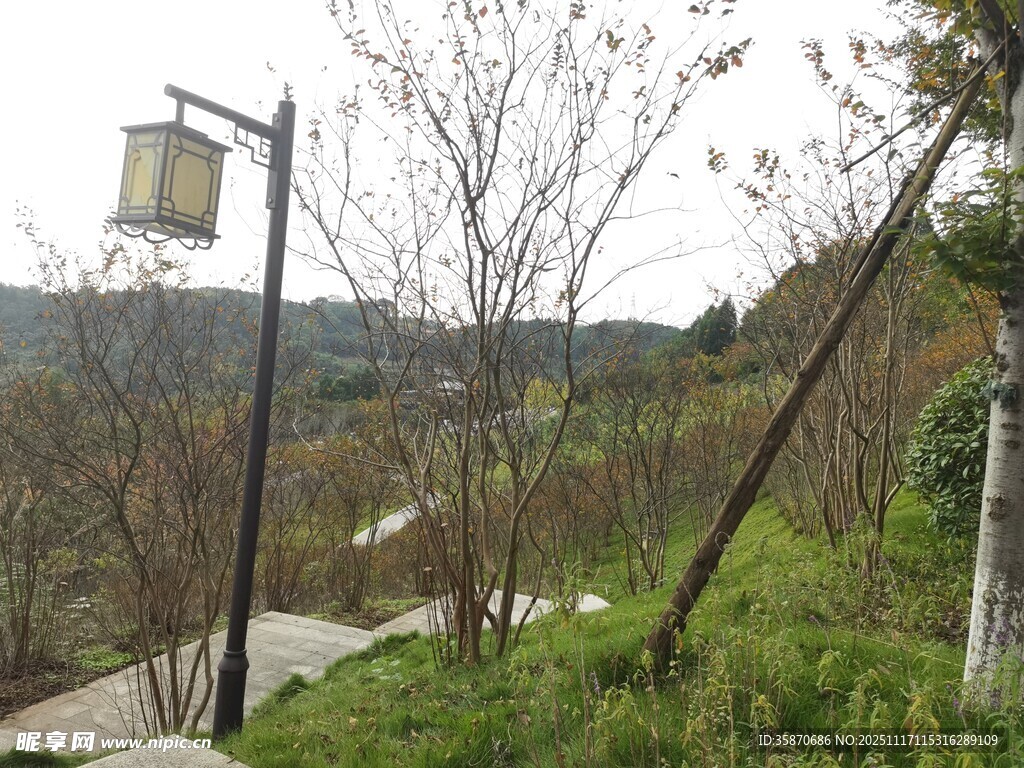 户外小径旁的路灯与绿植
