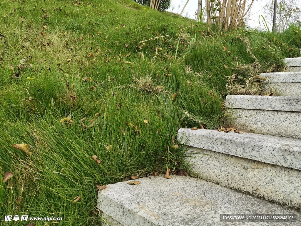 石径穿绿坡自然景致美