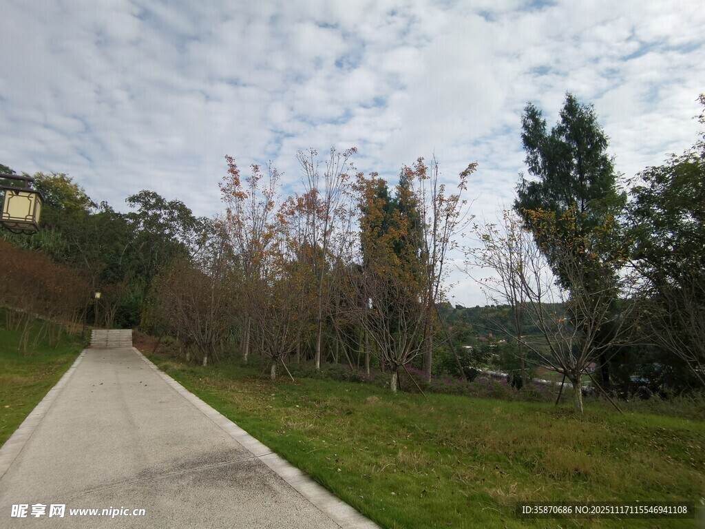 林间漫步道自然好风光