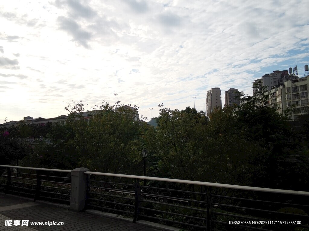 城市近景中的绿植与建筑