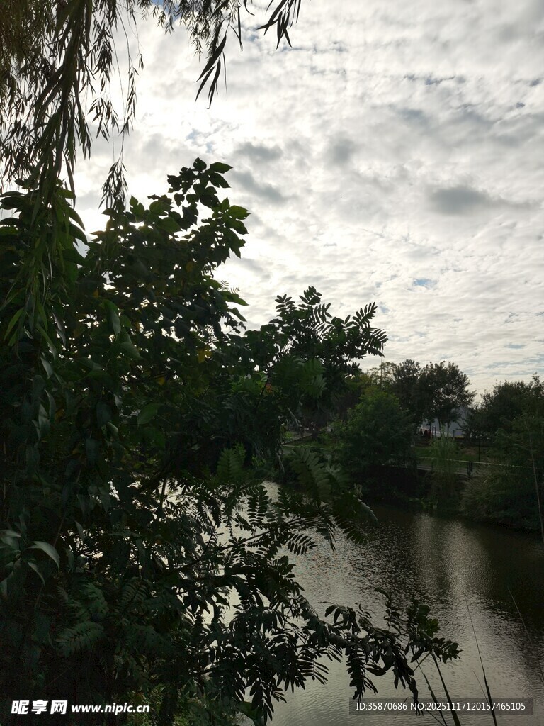 河畔绿树与阴沉天空景色