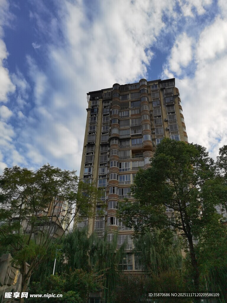 废弃高楼与周边绿植景观