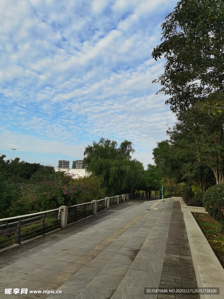 林间漫步道畅享自然风光