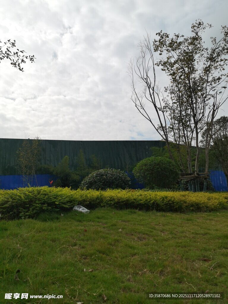 户外绿意盎然的园林景观