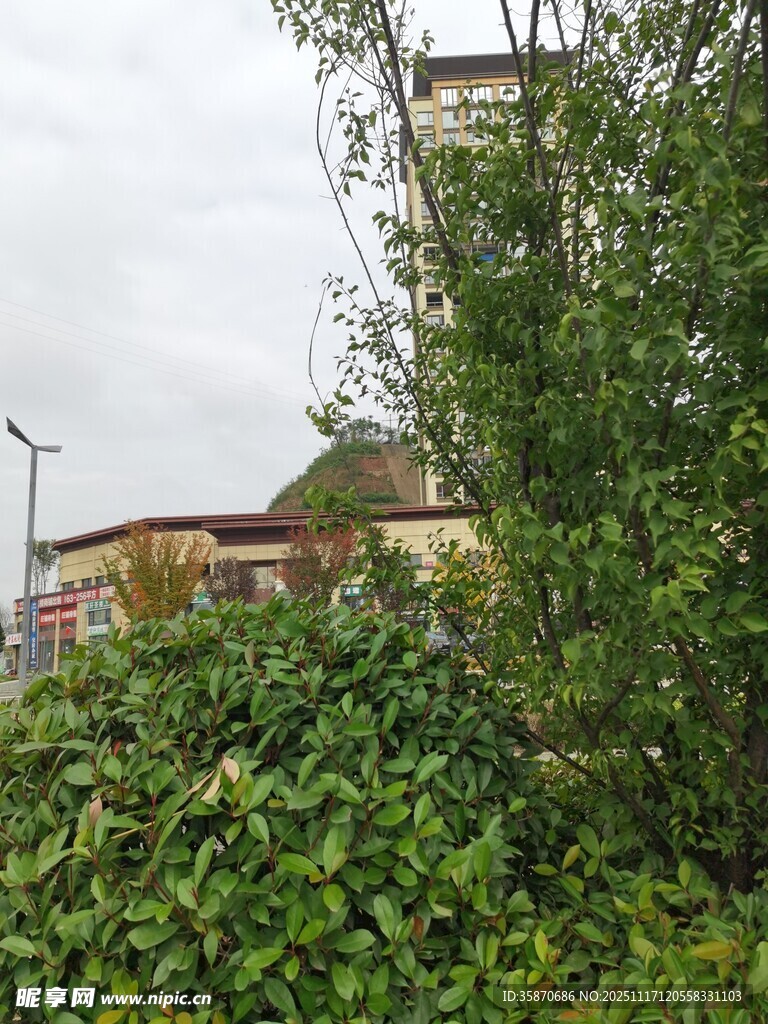 绿植掩映下的建筑一角