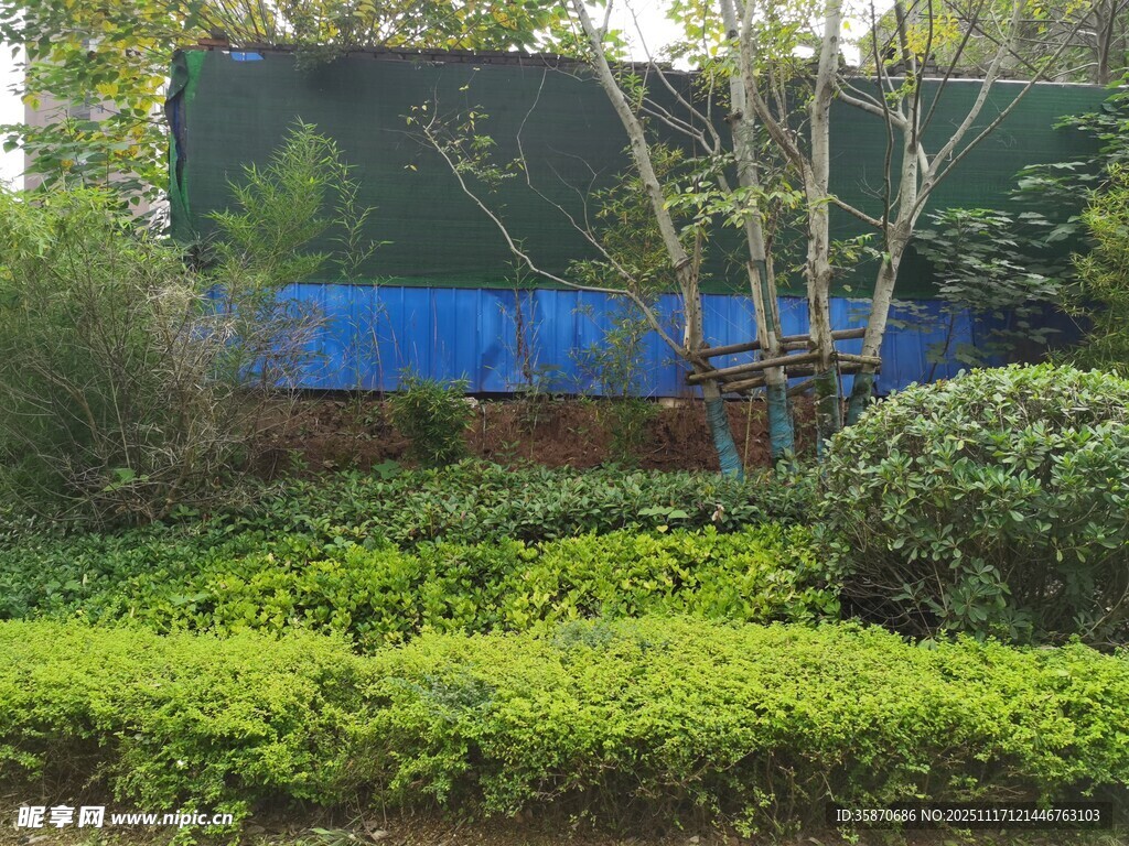 绿植环绕的户外蓝色围挡