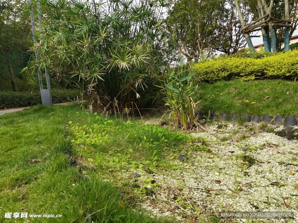 绿意盎然的户外草地景观