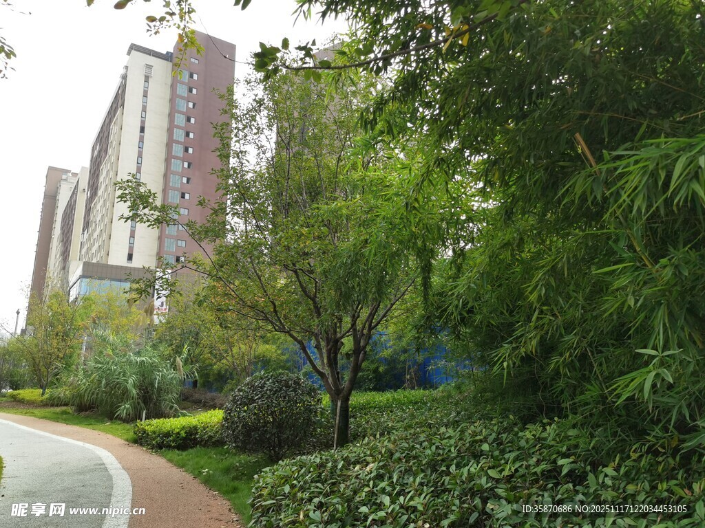 小区周边绿意盎然景观