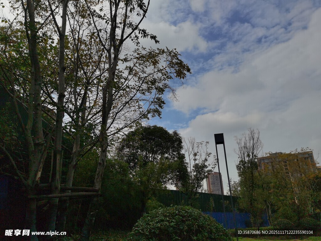 户外自然景观与绿植