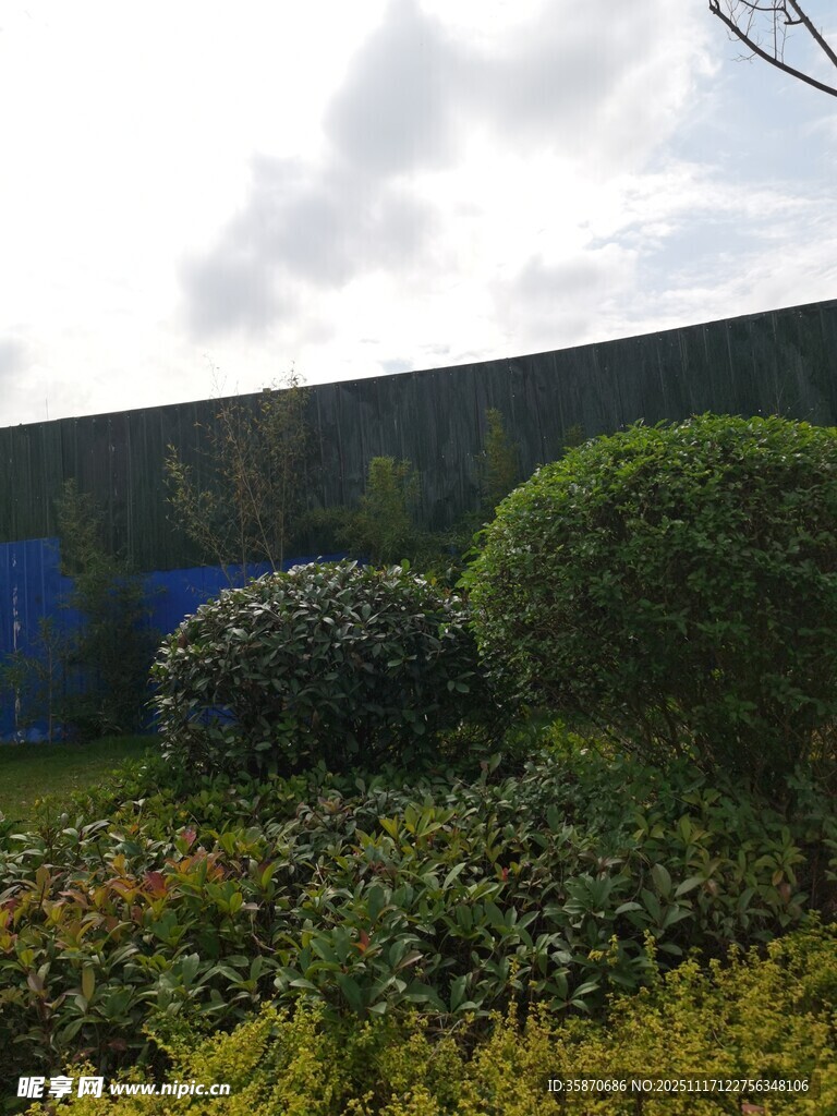 户外绿植景观
