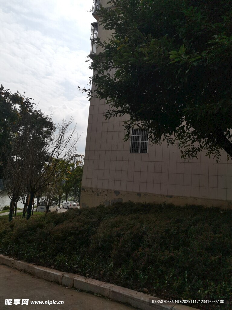 校园一角的绿植与建筑