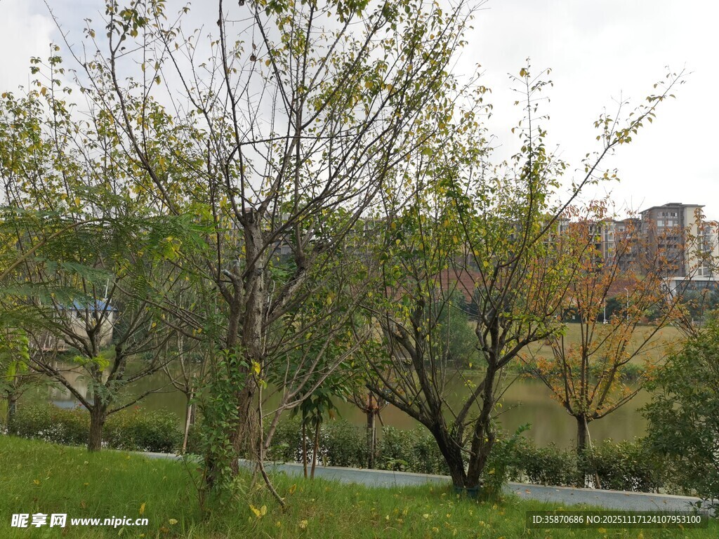 春日绿树环绕的户外景致