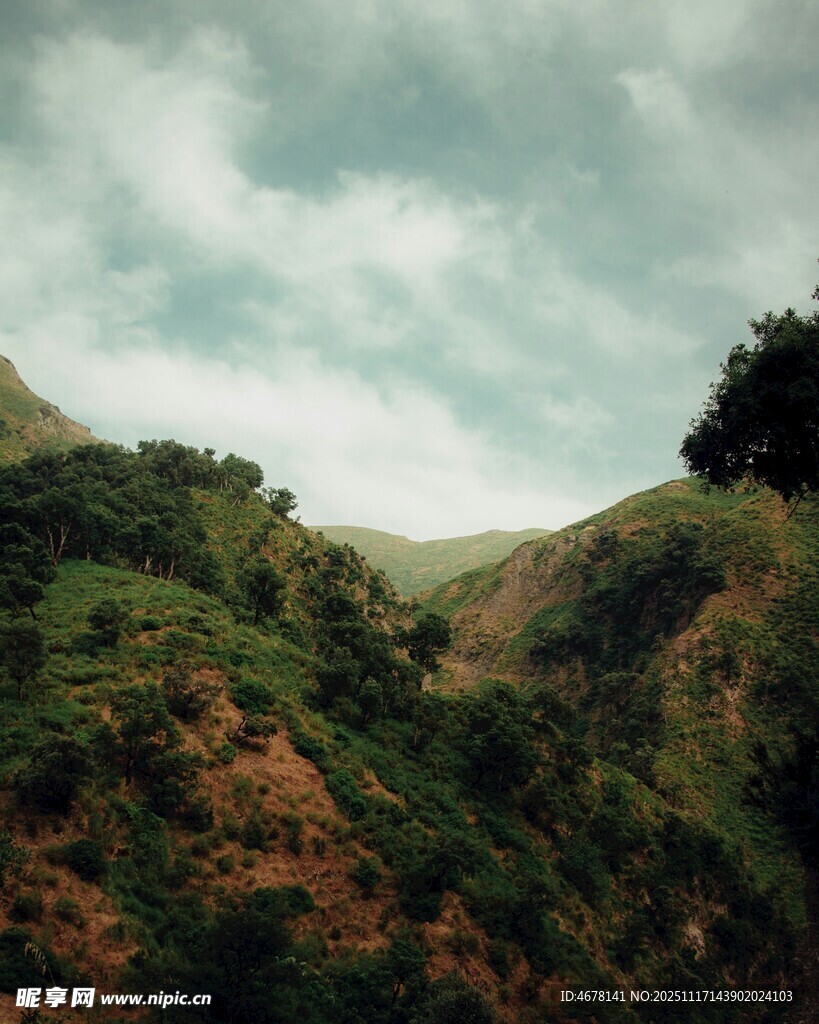 山间绿意浓云雾绕峰峦