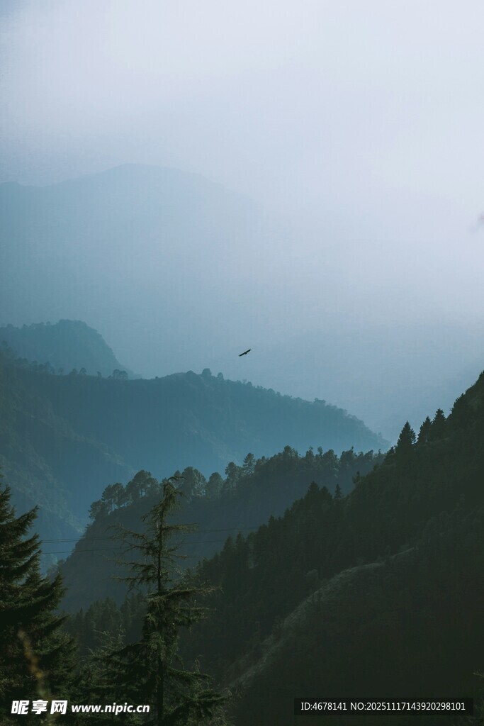 山间云雾缭绕的静谧景致