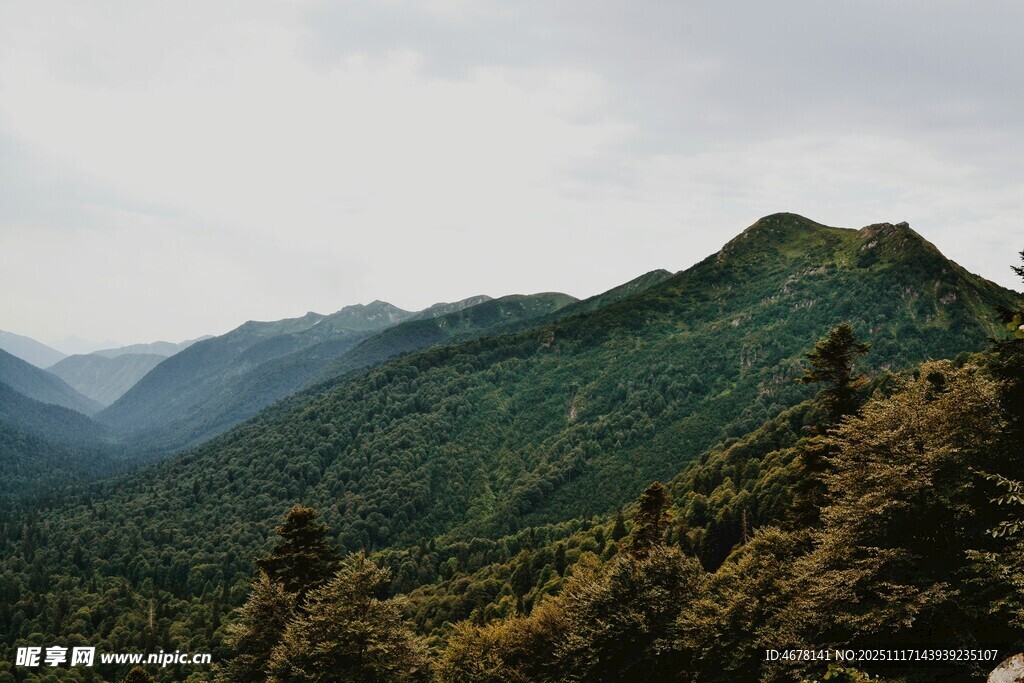 青山葱郁的壮美山间景色
