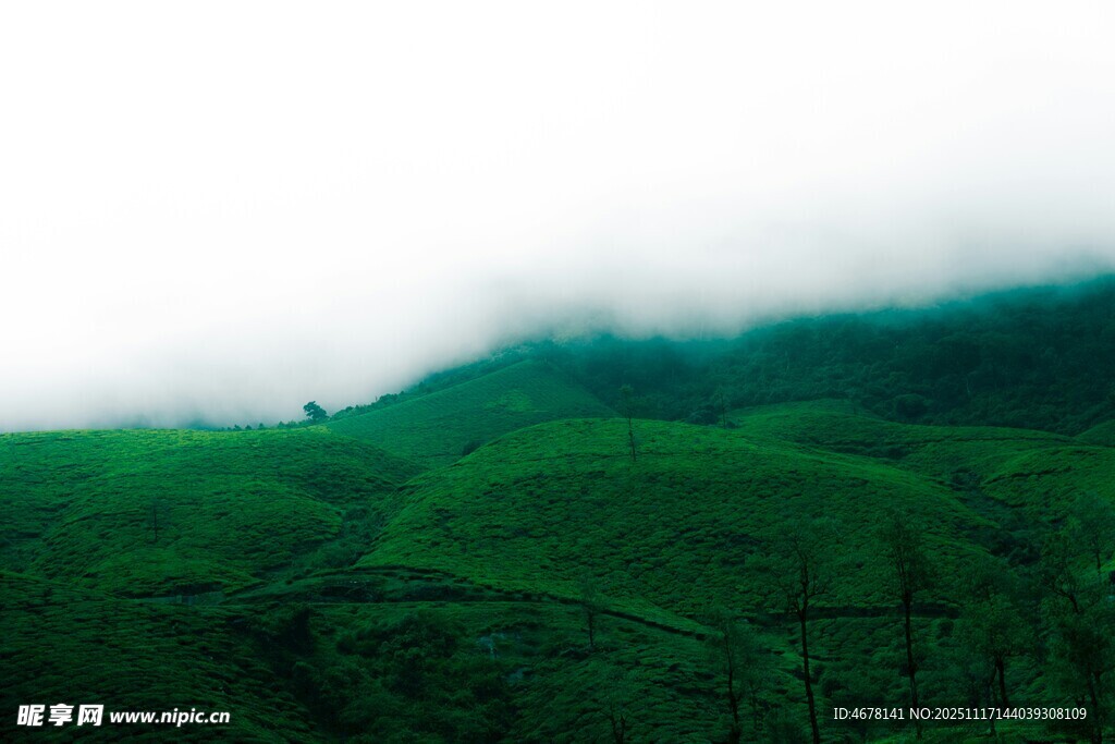 云雾缭绕的翠绿山丘