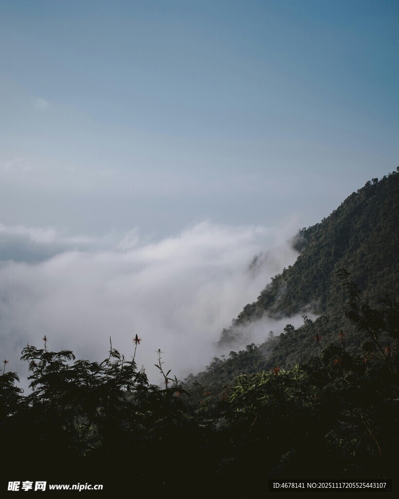 山间云海美景
