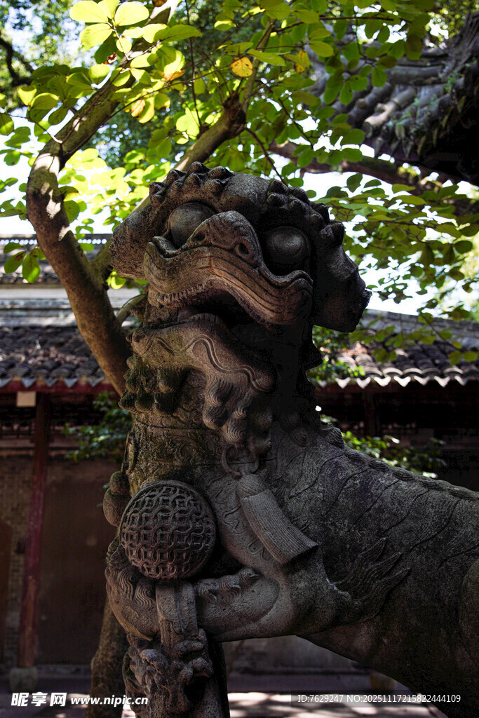 宁波天一阁萌萌的石狮