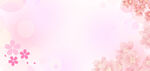 梦幻粉色樱花背景图