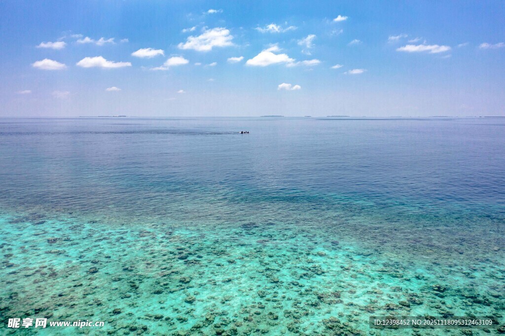 清澈海域下的斑斓珊瑚