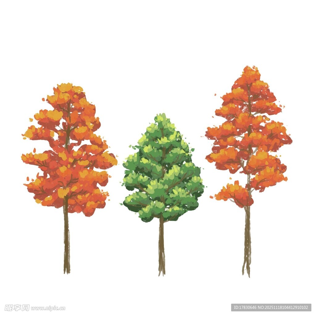 三棵多彩树木插画