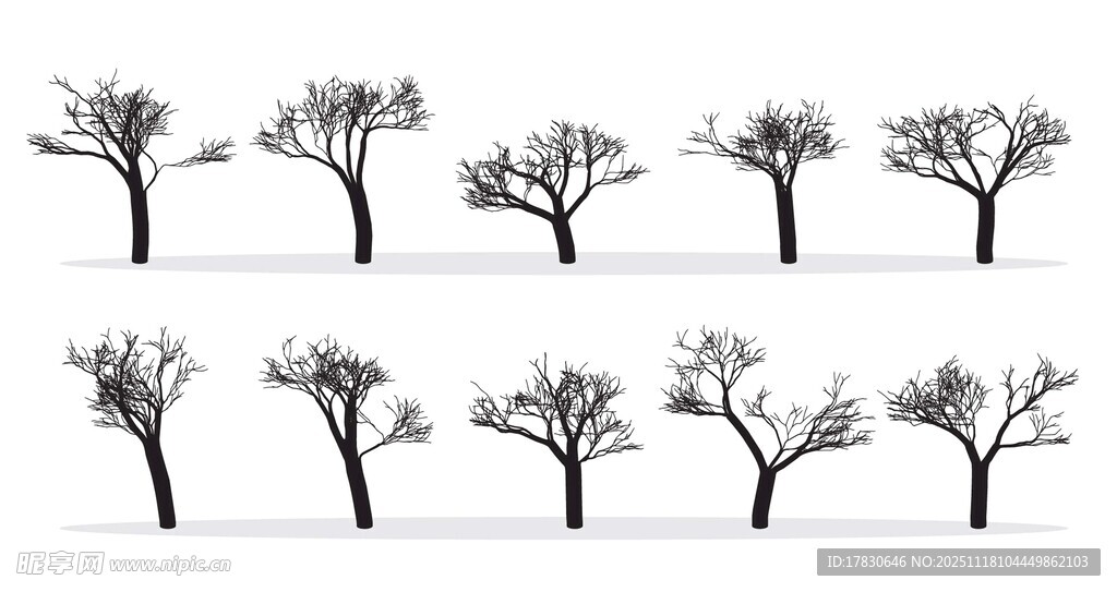 冬季光秃树木集合