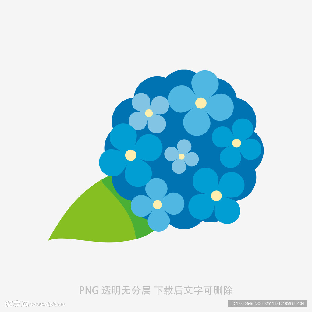 蓝色绣球花插画