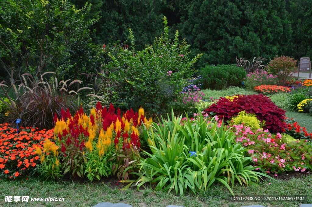 天坛花境风景 