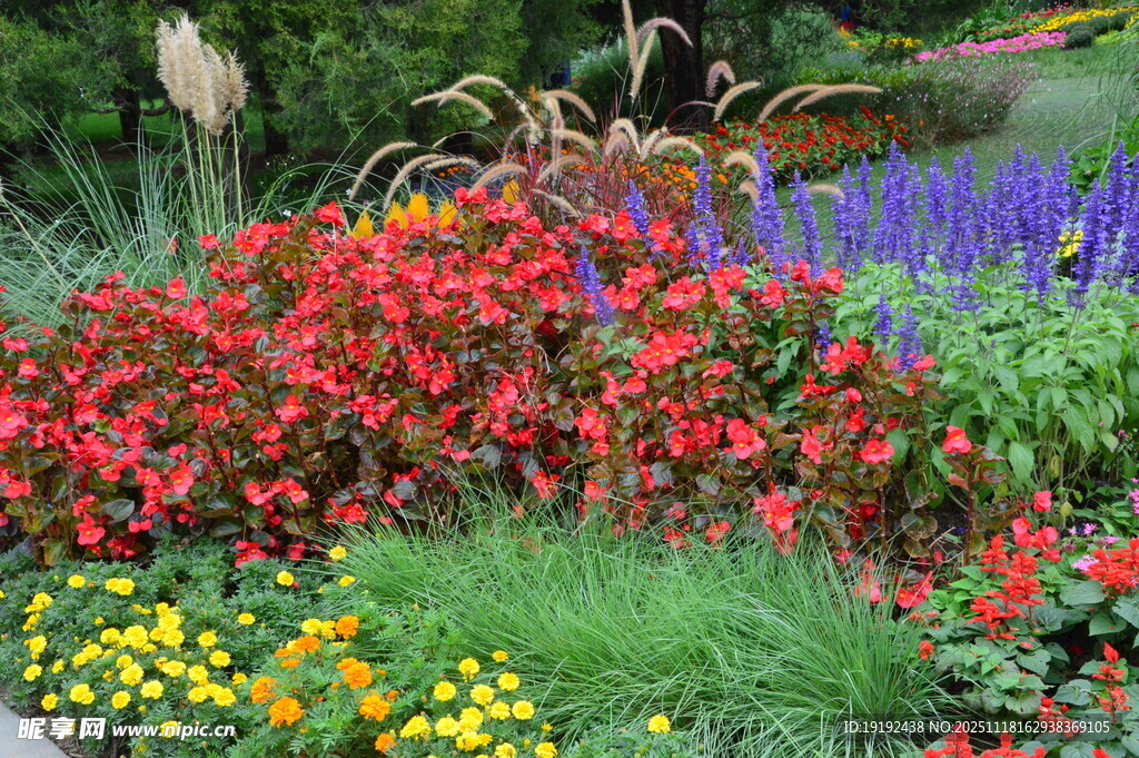天坛花境风景  