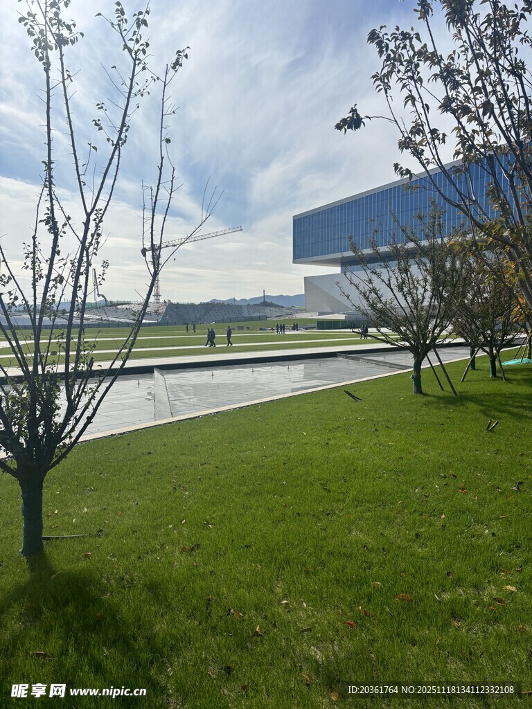 户外草坪旁的树木与建筑