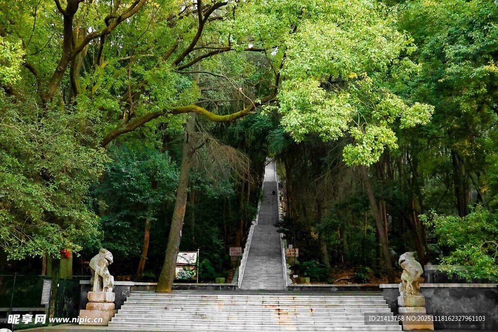 山林间的古朴石阶景观