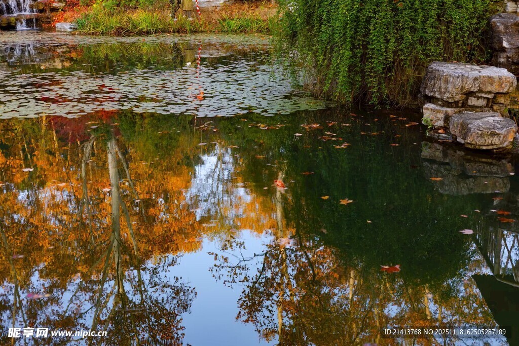 秋日园林池塘美景倒影