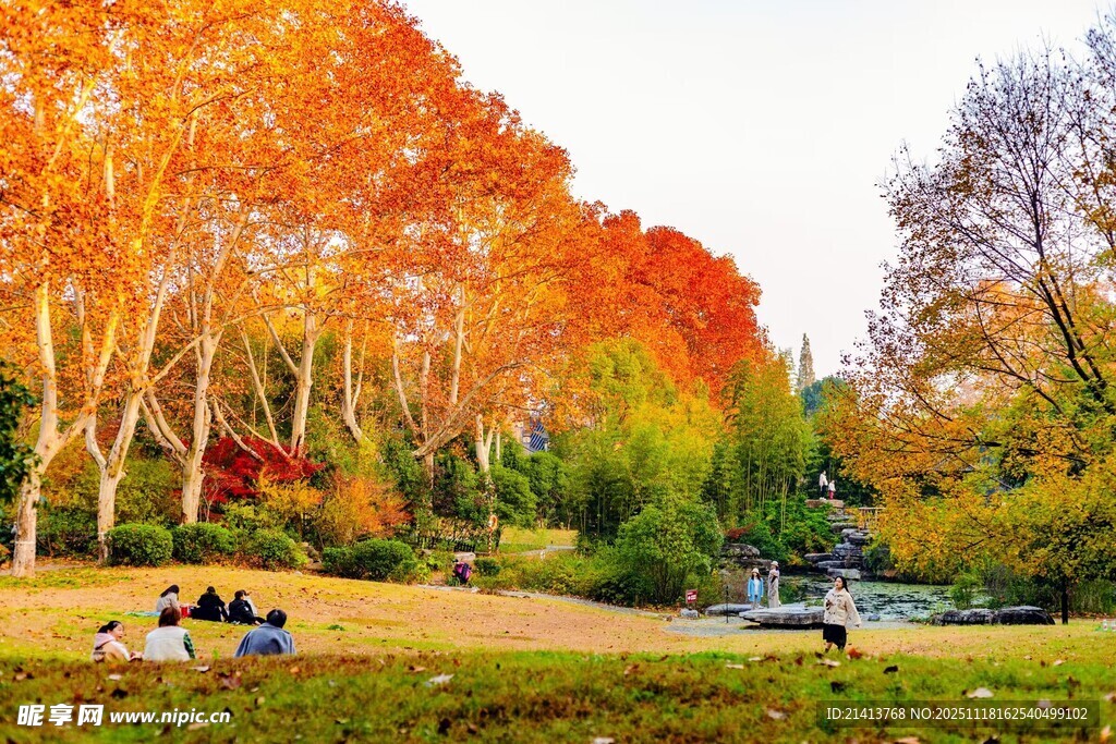 秋日公园美景