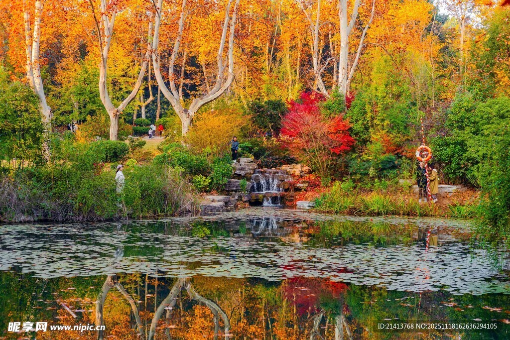 秋日湖畔斑斓树林美景