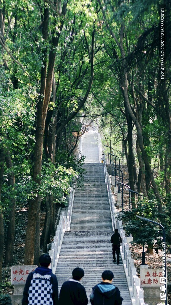 山林间的石阶步道