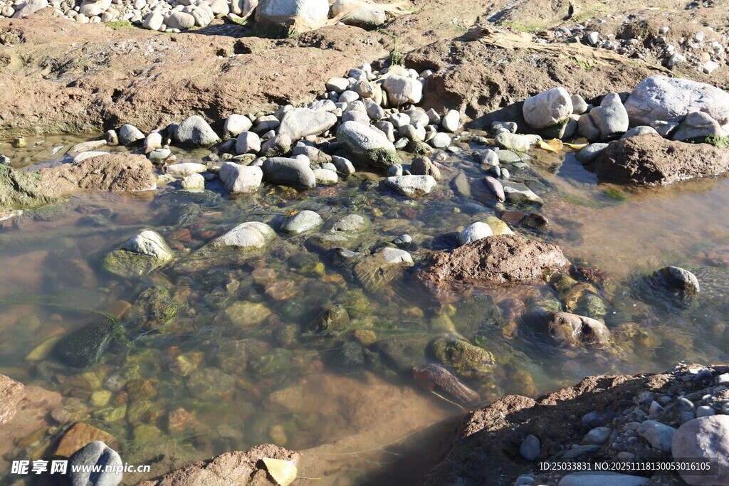 溪边散落的多彩鹅卵石