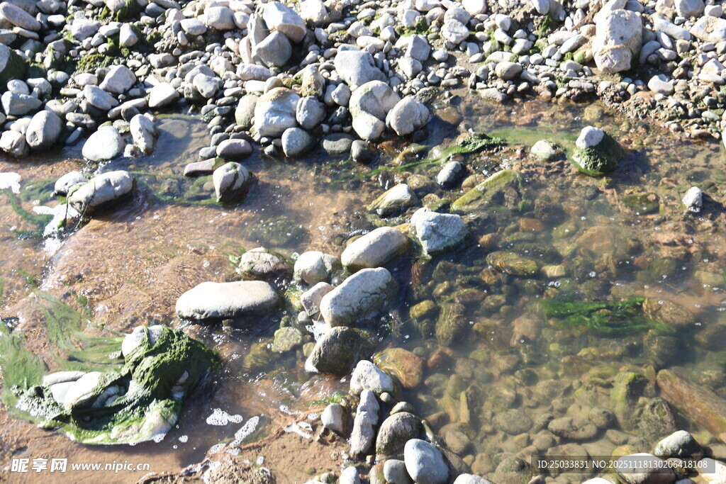 溪边散落的多彩鹅卵石