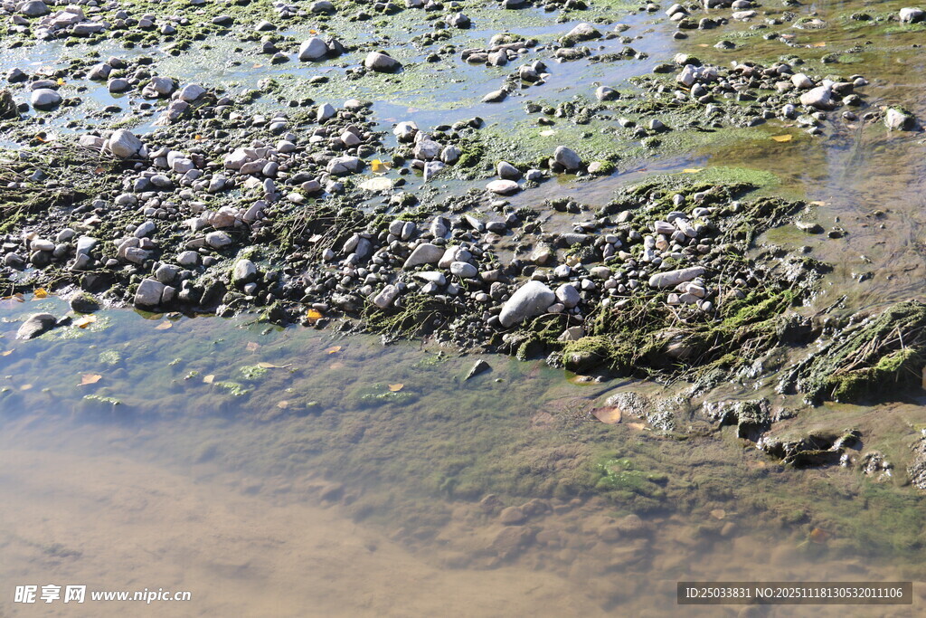 水边碎石滩景象