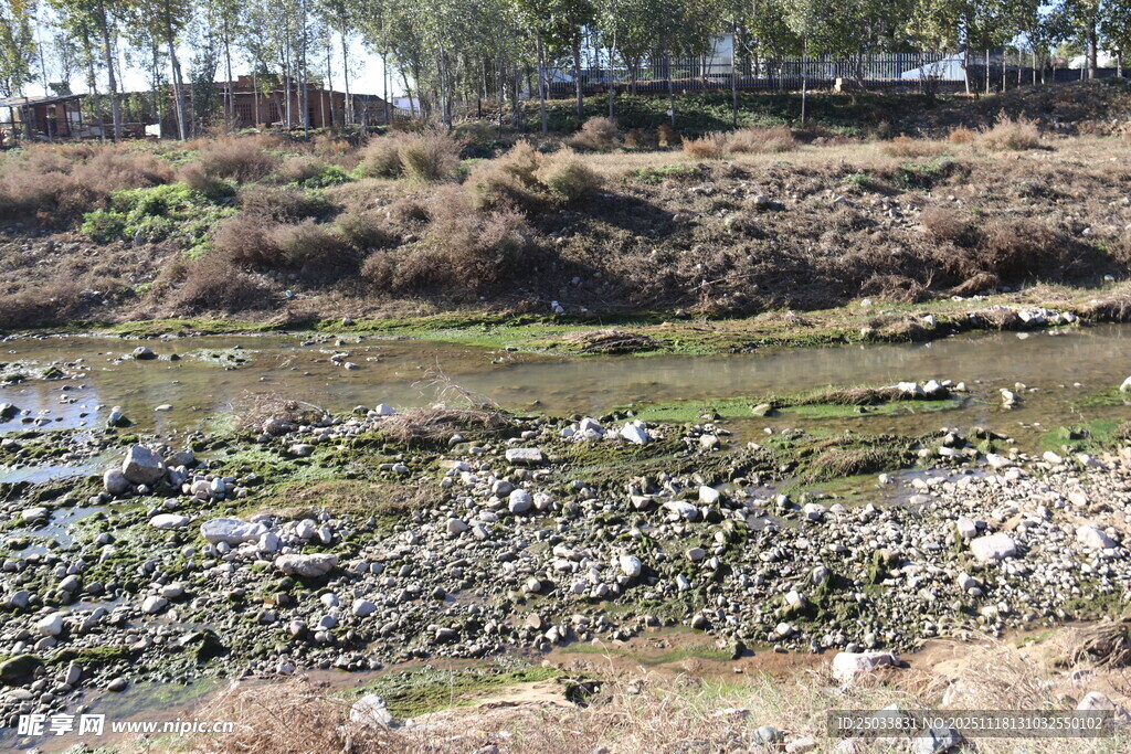 乡村荒野中的河岸景致