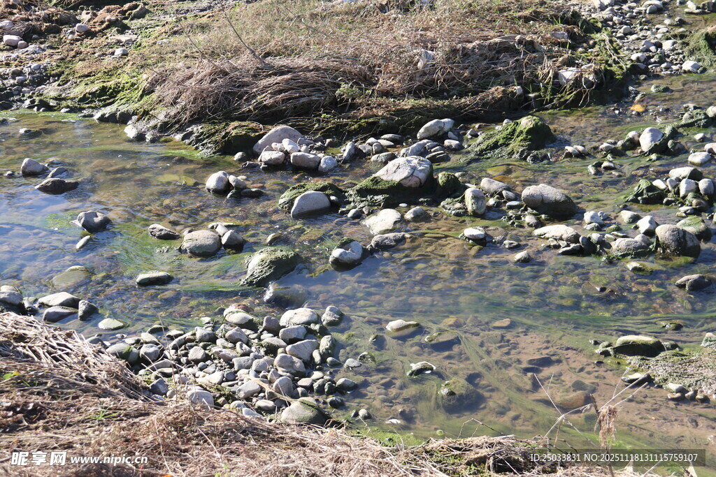 山间溪流与散落石块景观