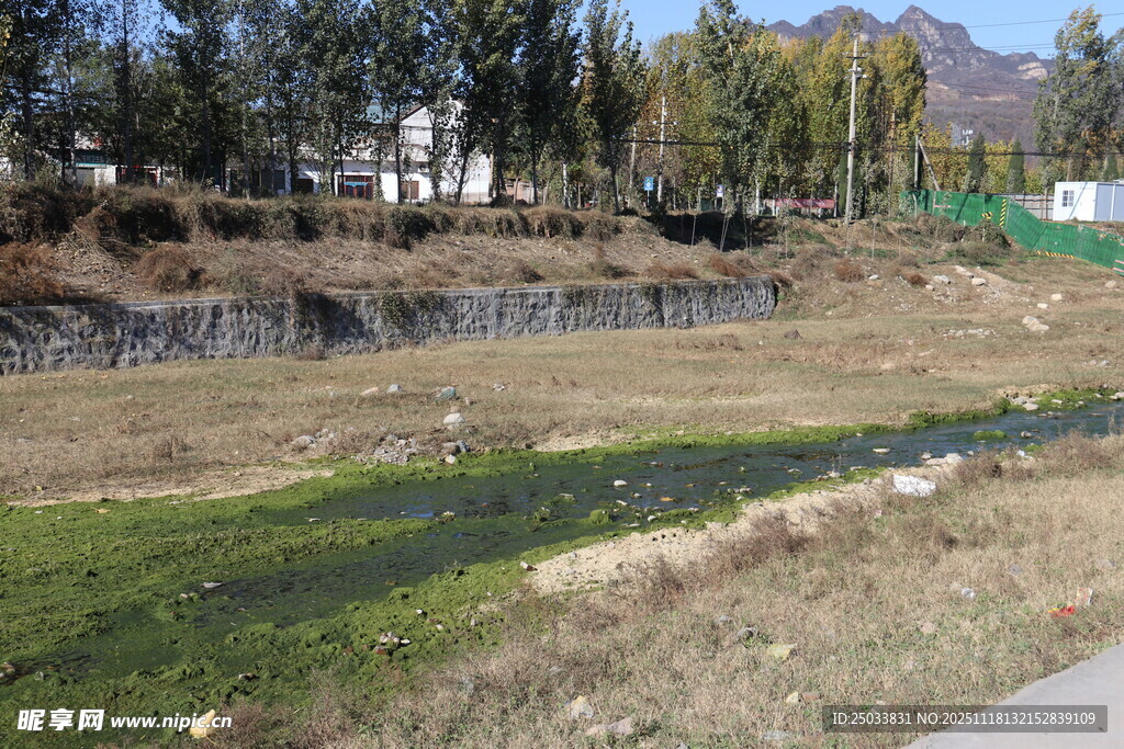 郊外自然景观河流与草地