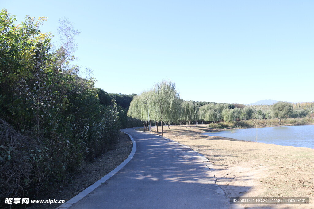 蜿蜒小路旁的葱郁景致