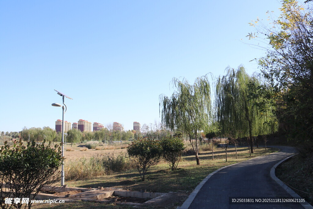 郊外蜿蜒小路旁的自然景致