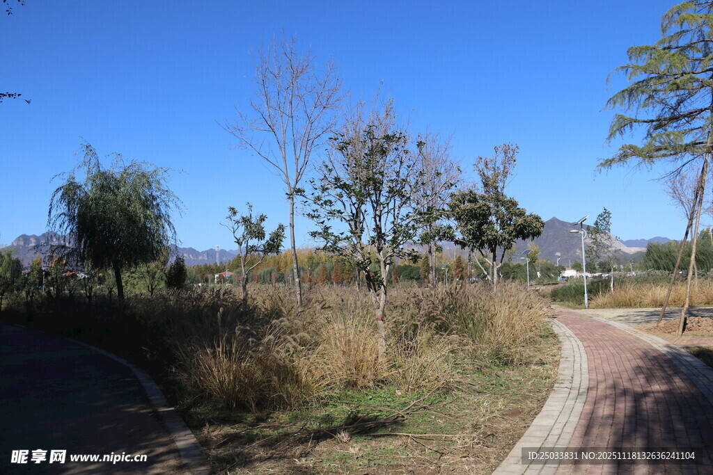 秋日乡间小路风景