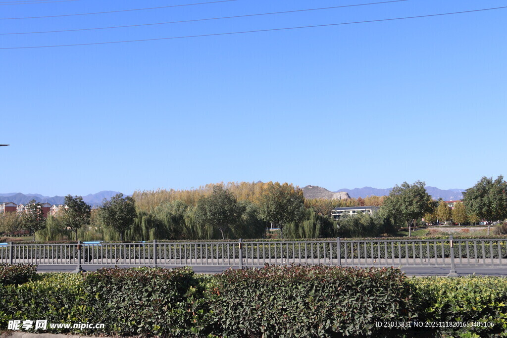 公路旁的多彩植被景观